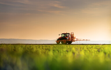 Obraz premium Tractor spraying corn field in sunset