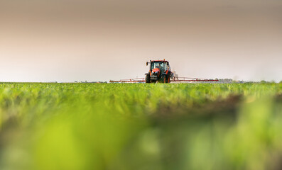 Tractor spraying corn field in sunset