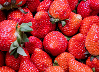 Many fresh strawberries on a table. Fresh food with high nutritional value.