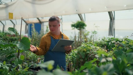 Young employee with Down syndrome working in garden centre, typing on tablet.