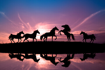 Fototapeta na wymiar Horses running during sunset with water reflection.