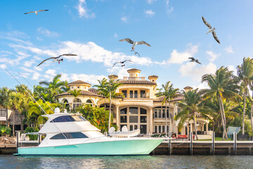 Luxury Waterfront Mansion in Fort Lauderdale Florida with flying seagulls - obrazy, fototapety, plakaty
