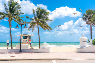 Seafront beach promenade with palm trees on a sunny day in Fort Lauderdale wih seagulls