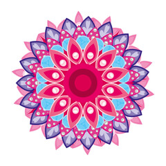 lilac mandala decorative