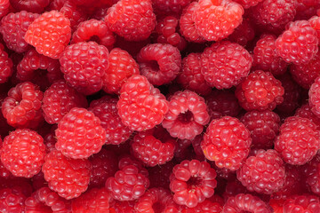 Ripe red raspberries as background