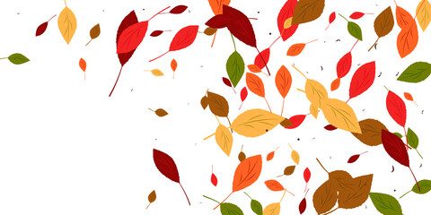 Leaves. Yellow, red, green, orange, brown colors. Scattered autumn leaves. Unusual abstract texture. Vector eps 10.