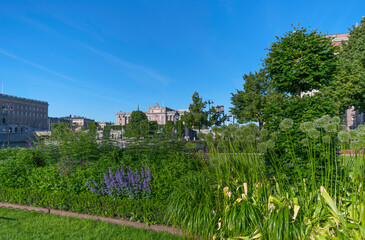 Fototapeta na wymiar Garden view with flowers government houses and part of the royal castle a summer day in Stockholm