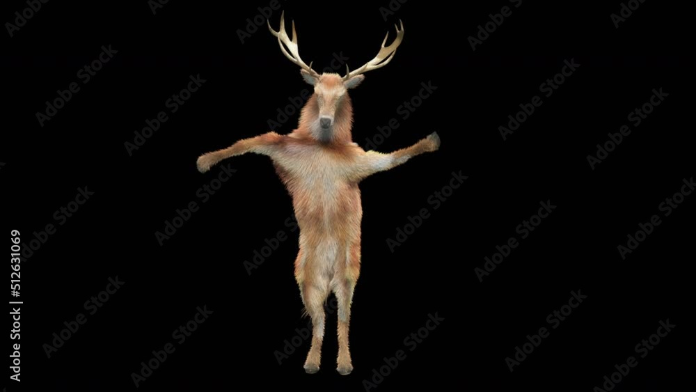 Fototapete deer dancing cg fur 3d rendering animal realistic cgi vfx animation loop composition 3d mapping cart