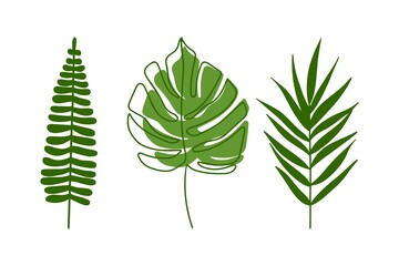 Various tropical leaves on a white background.