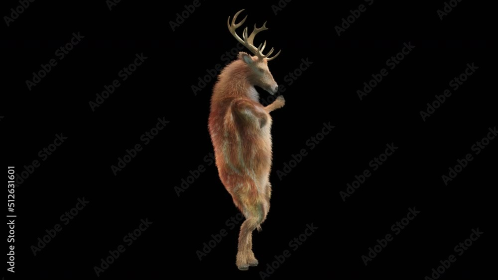 Poster deer dancing cg fur 3d rendering animal realistic cgi vfx animation loop composition 3d mapping cart