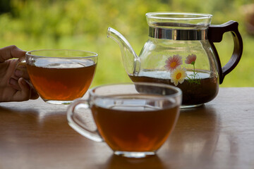 Teapot with a transparent cup of tea in nature
