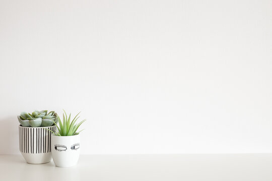 Decorative plants with dry flowers on a table against bright white wall in the room. Mockup.	