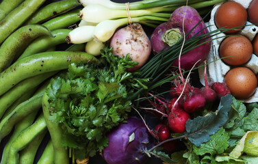 Photography of fresh vegetables and hen eggs from the spring market for food illustrations