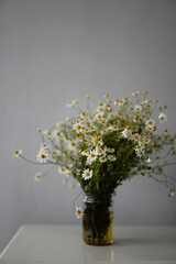 Fototapeta na wymiar blossoming daisies 