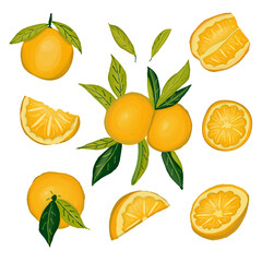 Obraz premium Whole and sliced orange and leaves set. Watercolor citrus fruit collection. Vector illustration