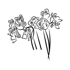 Fototapeta na wymiar Isolated sketch of a group of flowers Vector