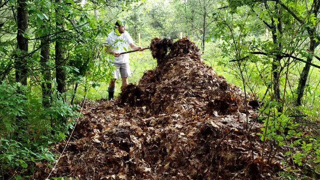 Man in boots using pitchfork to stock pile lives in one place to rot them and convert to compost over time.