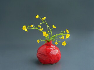 Yellow buttercup flowers on a gray background.  Art of flower arrangement. Still life with red clay pomegranate.
