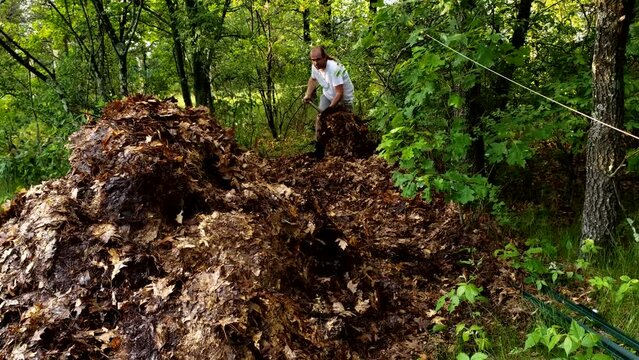 Man using pitchfork to gather leaves in one pile to let it rot to make compost for future use in garden.