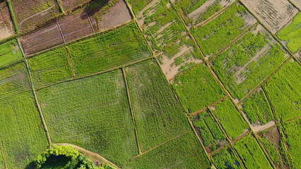 Obraz premium Aerial view of fields in thailand