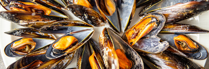 mussels in shells fresh seafood meal on the table copy space food background rustic top view 