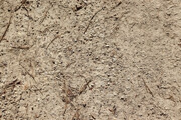 A close view of the hard dirt ground surface.