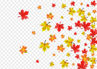 Obraz premium Brown Leaves Background Transparent Vector. Foliage Forest Template. Autumnal Tree Floral. Collection Plant Illustration.