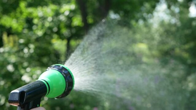 Gardener's hand holds a hose with a sprayer and watered the plants in the garden.