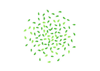 Greenish Leaves Background White Vector. Sheet Decor Texture. Template Illustration. Light Green Figure Frame. Foliage Simple.