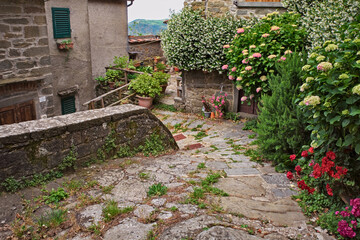 Fototapeta na wymiar Trappola, Loro Ciuffenna, Arezzo, Tuscany, Italy: old alley with flowers and plants of the picturesque village in the Apennine mountains