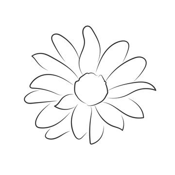 Isolated sketch of a sunflower icon Vector