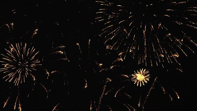Bright multi-colored flashes of fireworks on a dark night sky. Overall plan