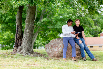 Naklejka na ściany i meble Two men reading the Bible under a tree