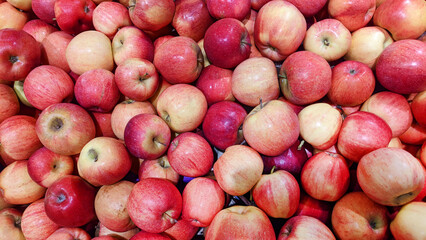 Lots of fresh, ripe red-yellow apples. Top view. Flat lay.