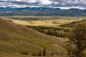 Yellowstone National Park Landscape Wyoming