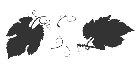 Vine leaf silhouette with vine. Vector illustration of shadow fruit vegetation. - obrazy, fototapety, plakaty