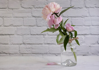 Beautiful peony flower in a vase on an old background