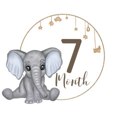 Cute elefant. Hand drawn watercolor baby boy elefant. Baby milestone. Monthly growth card. Isolated on white background. Design for baby growth, nursery room decor, baby shower.