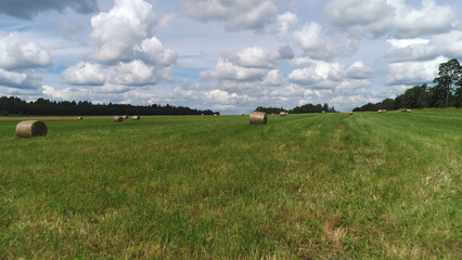 Farming, haymaking concept, large green field on blue cloudy sky background. Shot. Hay bales with dry grass. with green forest growing far in the distance.