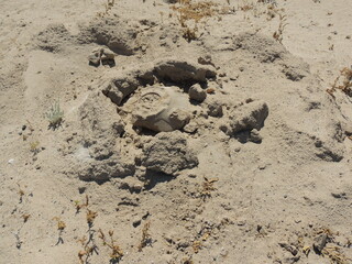 Hidden treasure in sand