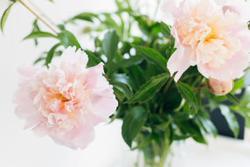 Beautiful peonies bouquet in soft light close up. Stylish floral image. Fresh tender pink peony flowers arrangement on rustic background, moody banner