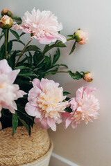 Beautiful peonies bouquet in basket in boho room. Modern bohemian decor, stylish comfy interior details. Gentle pink peony flowers on rustic background, moody image