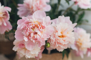 Beautiful peonies bouquet in basket in boho room. Modern bohemian decor, stylish comfy interior details. Gentle pink peony flowers on rustic background, atmospheric image