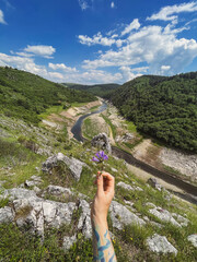 Hand Holding Flower on River Canyon Background