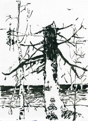 Withered pine against the backdrop of a lake or river. Wilderness.