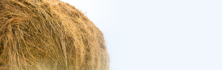 Haystack on the field on a light background. Harvest concept. Banner
