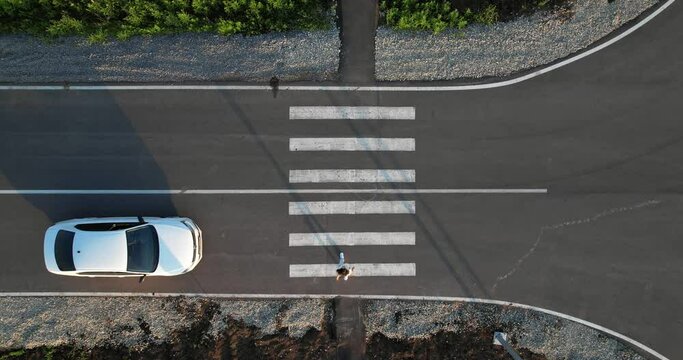 The driver gives way to a pedestrian. A white car stops in front of a pedestrian crossing, a girl crosses the road. View from the height. Compliance with traffic Rules. High quality 4k footage
