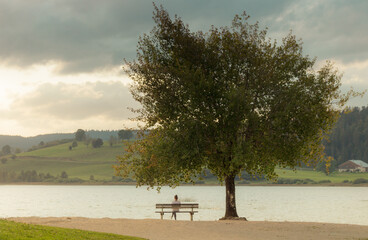 jeune femme assise sous un arbre au bord d'un lac en automne