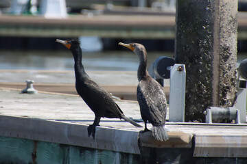 beauty in nature
no people