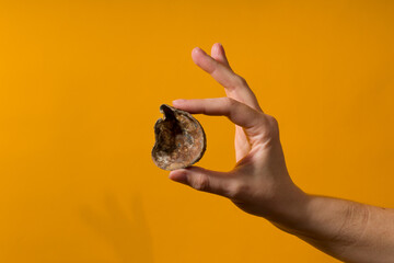 a female hand holds a spoiled avocado skin with mold on a colored background